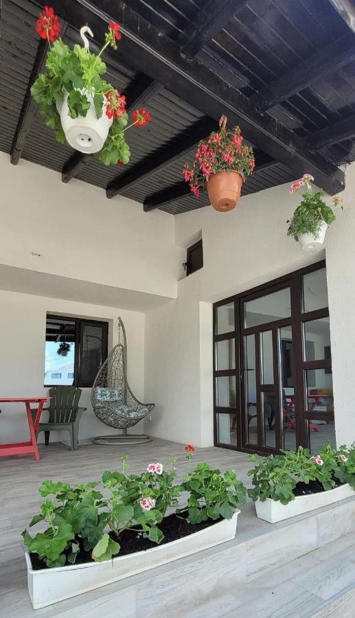 Casa Domneasca Giurgiu Exterior foto